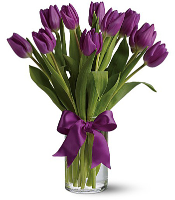 Passionate Purple Tulips